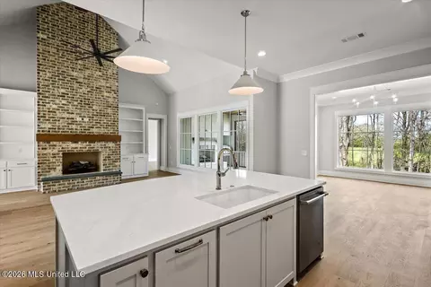 Other - 207 Welchshire Dr, Madison, MS 39110 photo 6 of 18