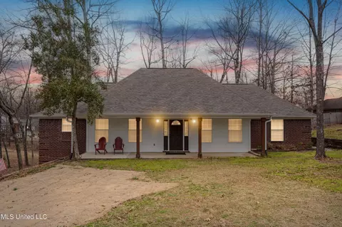 Exterior - 4198 Bienville Rd, Nesbit, MS 38651 photo 11 of 13