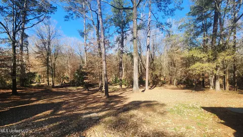 29 Melanie Rd, Natchez, MS 39120 photo 33