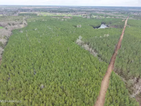 Dyess Road, Carson, MS 39427 photo 8