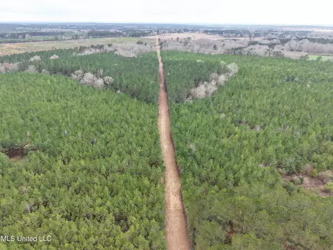 Dyess Road, Carson, MS 39427 photo 5