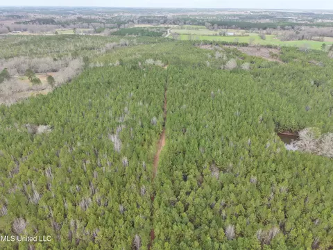 Dyess Road, Carson, MS 39427 photo 27