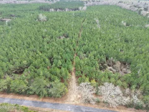 Dyess Road, Carson, MS 39427 photo 29