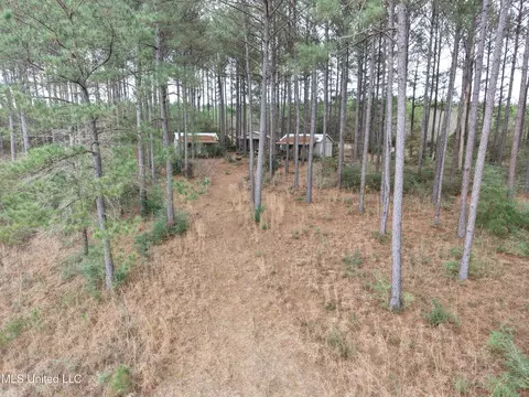 Dyess Road, Carson, MS 39427 photo 18