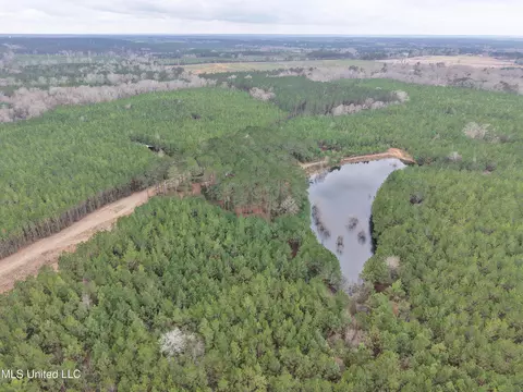 Dyess Road, Carson, MS 39427 photo 19