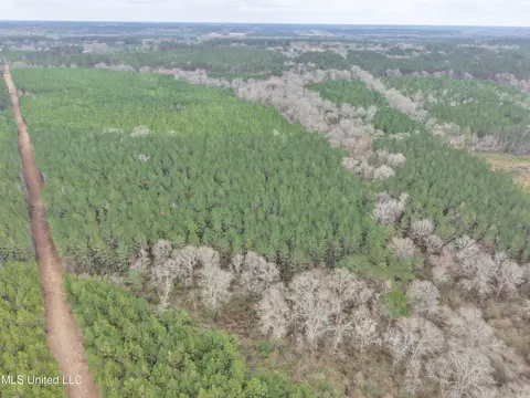 Dyess Road, Carson, MS 39427 photo 9