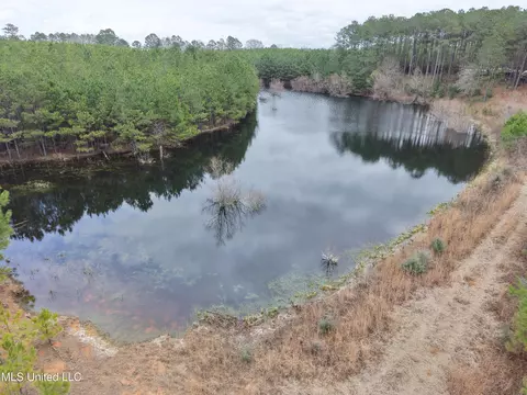 Dyess Road, Carson, MS 39427 photo 11