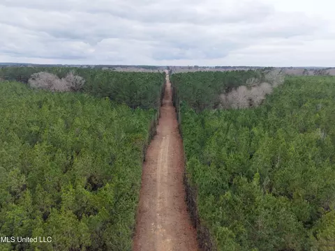 Dyess Road, Carson, MS 39427 photo 6