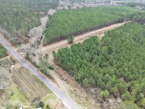 Dyess Road, Carson, MS 39427 photo 30