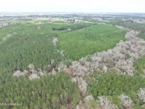 Dyess Road, Carson, MS 39427 photo 22