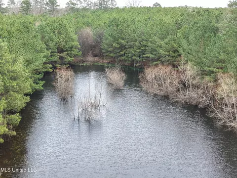 Dyess Road, Carson, MS 39427 photo 13