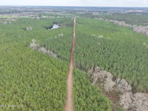 Dyess Road, Carson, MS 39427 photo 7