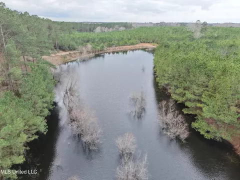 Dyess Road, Carson, MS 39427 photo 14