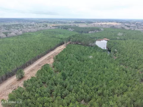 Dyess Road, Carson, MS 39427 photo 31