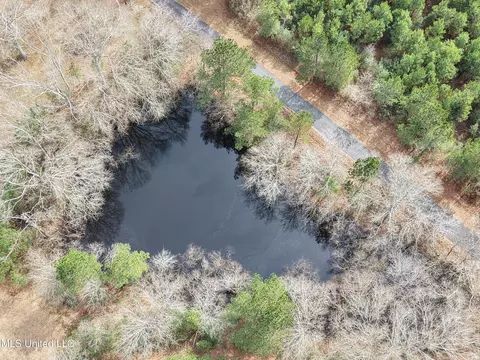 Graves Road, Carson, MS 39427 photo 8