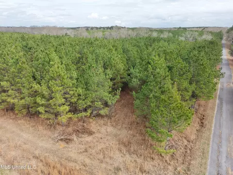 Graves Road, Carson, MS 39427 photo 2