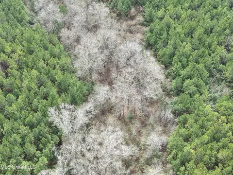Graves Road, Carson, MS 39427 photo 6