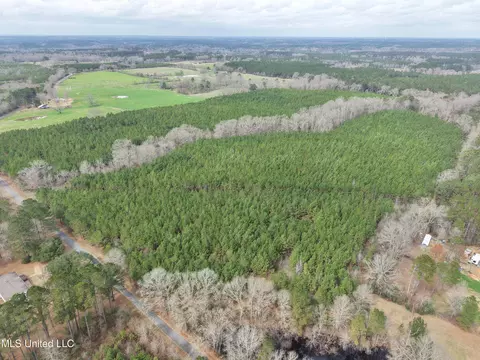 Graves Road, Carson, MS 39427 photo 9