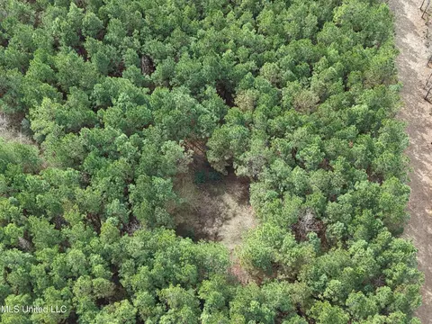 Graves Road, Carson, MS 39427 photo 7