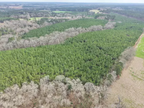 Graves Road, Carson, MS 39427 photo 3