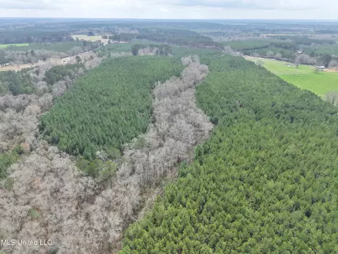 Graves Road, Carson, MS 39427 photo 4