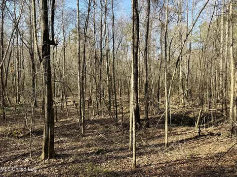 Attala Rd 4136, Sallis, MS 39160 photo 16
