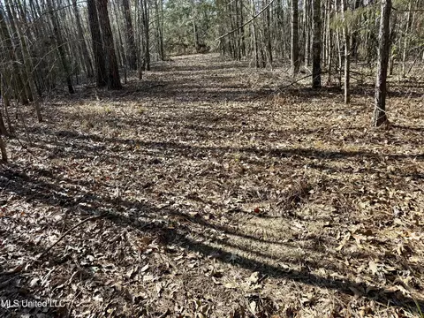 Attala Rd 4136, Sallis, MS 39160 photo 9