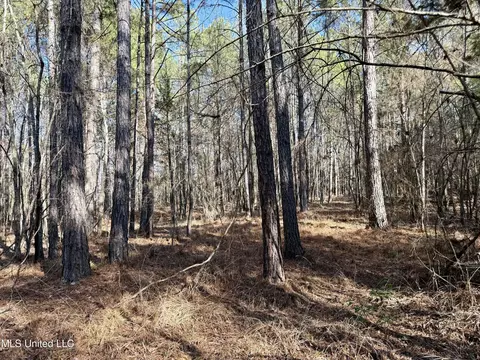 Attala Rd 4136, Sallis, MS 39160 photo 5