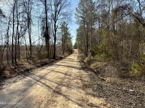 Attala Rd 4136, Sallis, MS 39160 photo 2