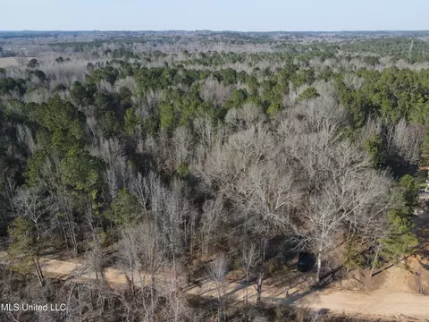 Attala Rd 4136, Sallis, MS 39160 photo 17