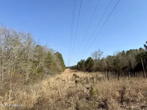 Attala Rd 4136, Sallis, MS 39160 photo 14