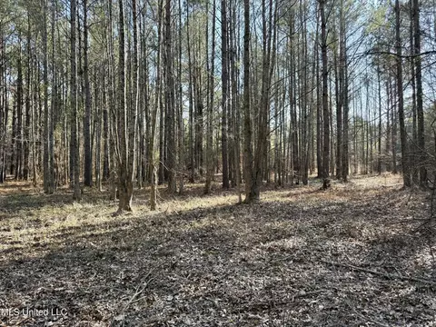 Attala Rd 4136, Sallis, MS 39160 photo 8