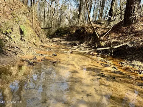 Attala Rd 4136, Sallis, MS 39160 photo 7