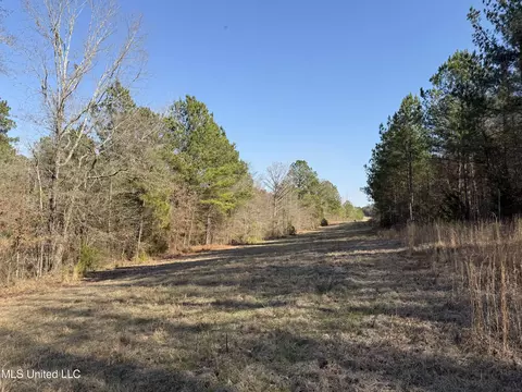 Attala Rd 4136, Sallis, MS 39160 photo 12