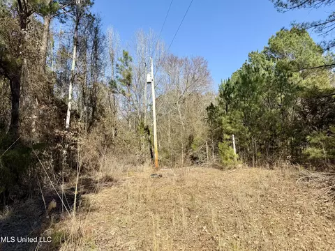 Attala Rd 4136, Sallis, MS 39160 photo 3