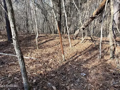Attala Rd 4136, Sallis, MS 39160 photo 15