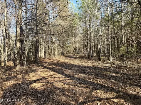 Attala Rd 4136, Sallis, MS 39160 photo 11