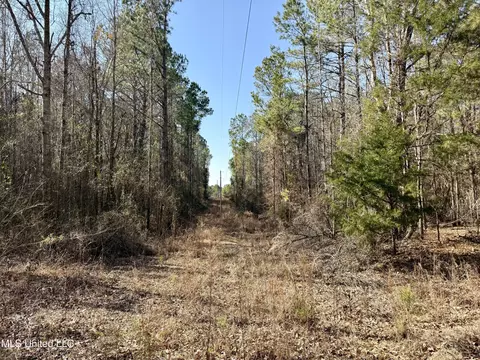 Attala Rd 4136, Sallis, MS 39160 photo 13