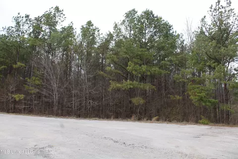 30 American Cv, Byhalia, MS 38611