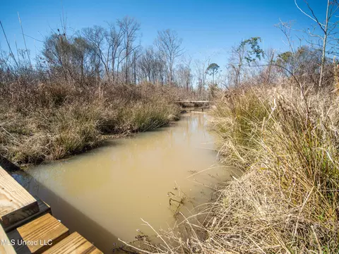0 Raytown Rd, Canton, MS 39046 photo 10