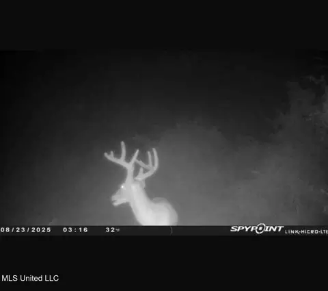 0 Raytown Rd, Canton, MS 39046 photo 2