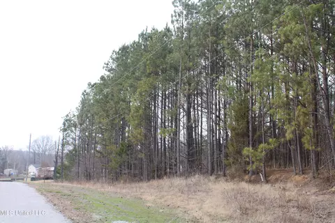 31 American Cv, Byhalia, MS 38611
