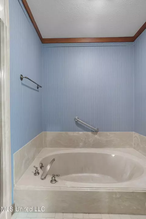 Bath - 809 Springlake Dr, Terry, MS 39170 photo 3 of 6