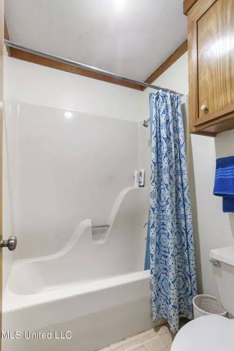 Bath - 809 Springlake Dr, Terry, MS 39170 photo 6 of 6