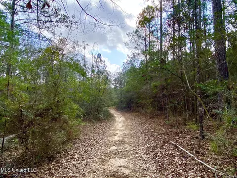 167 Bear Dr, Carriere, MS 39426