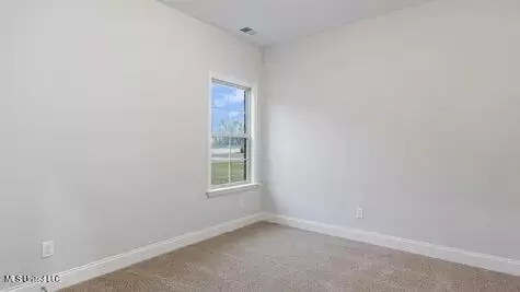 Other - 2488 Scott Meadows Ln, Hernando, MS 38632 photo 11 of 11