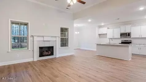 Other - 2488 Scott Meadows Ln, Hernando, MS 38632 photo 3 of 11