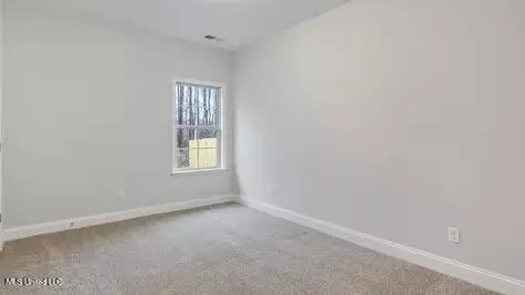 Other - 2488 Scott Meadows Ln, Hernando, MS 38632 photo 9 of 11