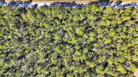 Saracennia Point, Moss Point, MS 39562 photo 12