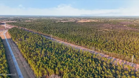 Saracennia Point, Moss Point, MS 39562 photo 5
